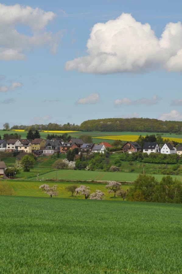 Ferienwohnung Roter Kater Am Nationalpark Eifel Bergbuir Exteriör bild
